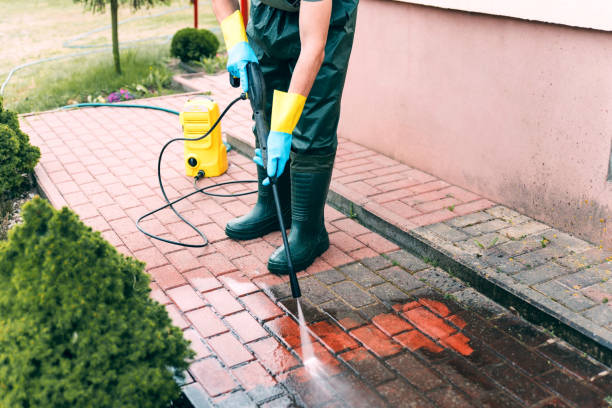 Best Roof Power Washing Services  in Woodlawn, MD